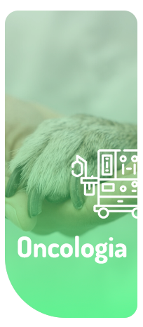 Oncologia