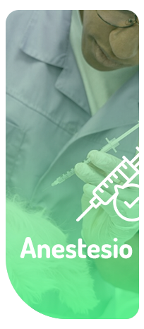 Anestesio